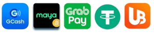 ph947 website image 20 showing payment